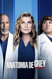 Grey’s Anatomy: Temporada 18