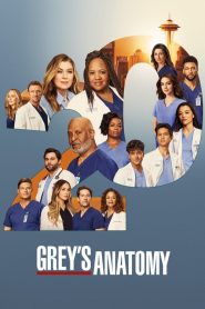Grey’s Anatomy: Temporada 20