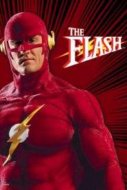 The Flash – O Último Vingador